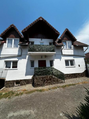 Casa cu brazi